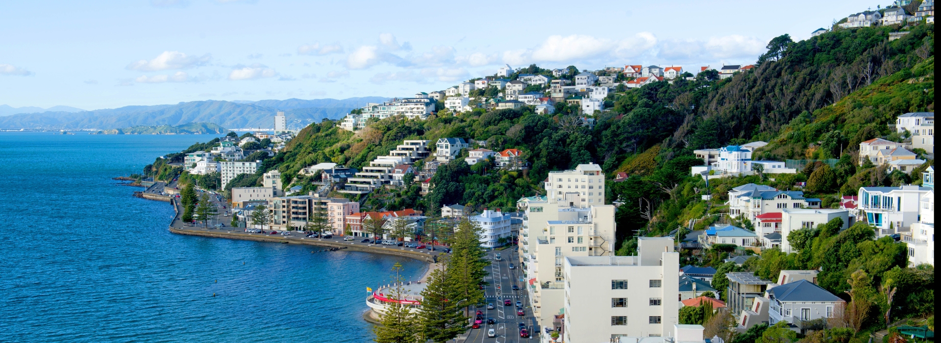 New Zealand Blog Cover