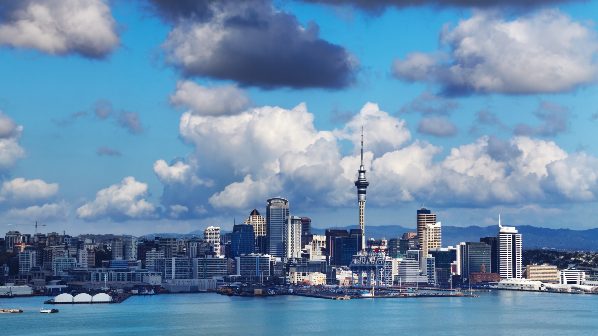 New Zealand Blog one