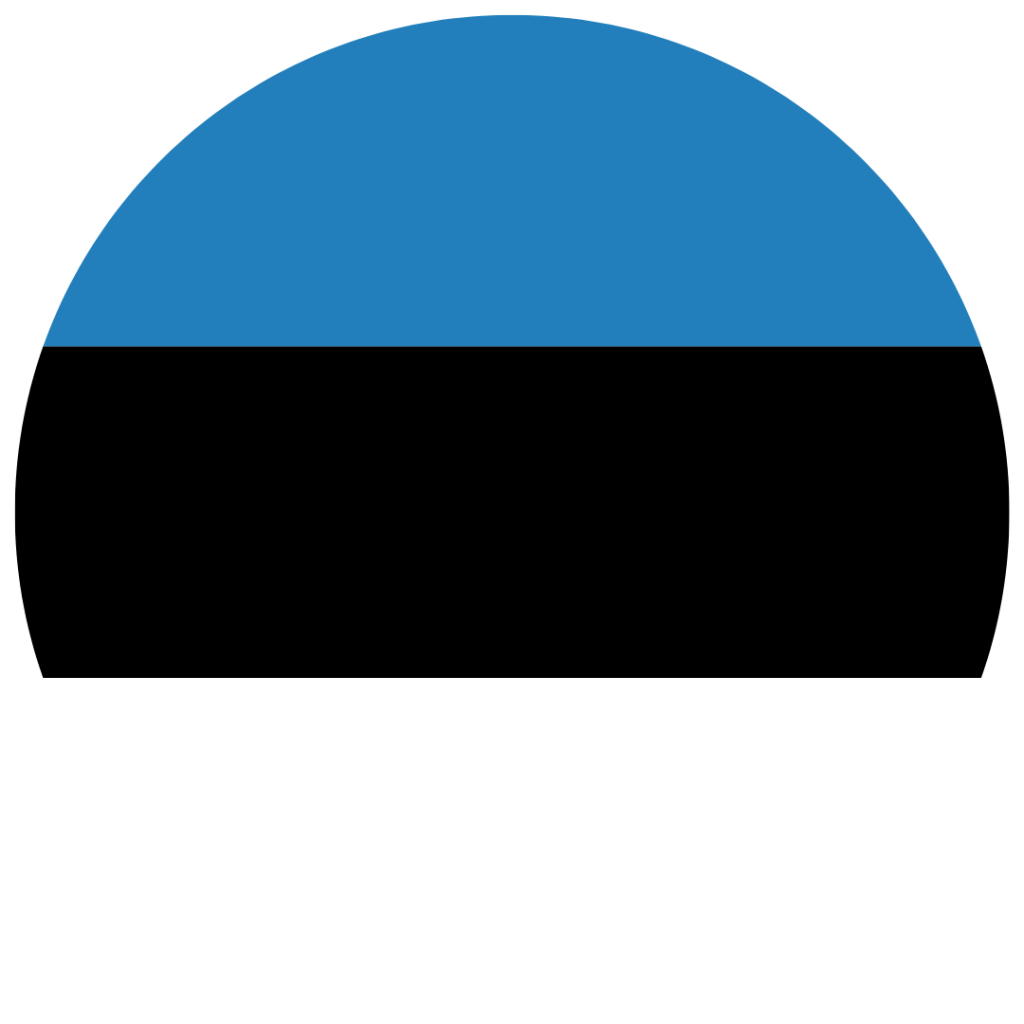 Estonia Flag Icon