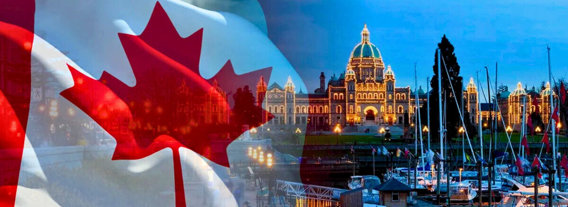 Canada Tech Worker cover